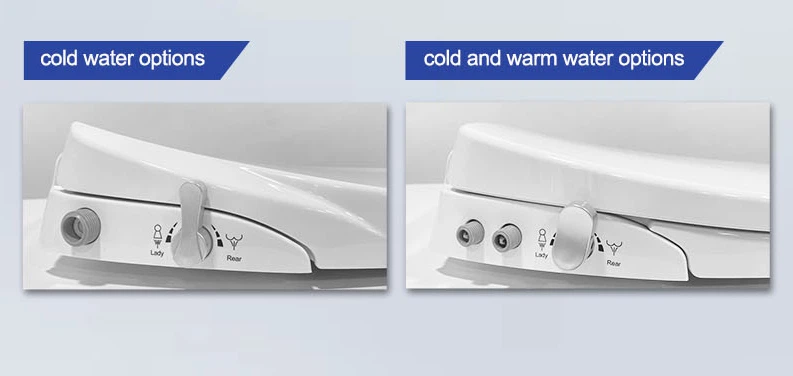 toilet seat with a bidet toilet seat with a bidet