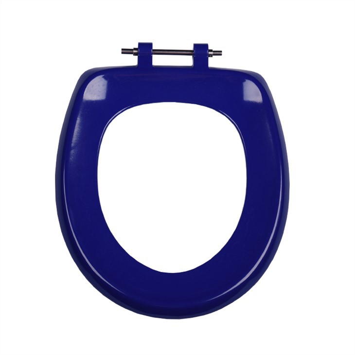 blue toilet seat