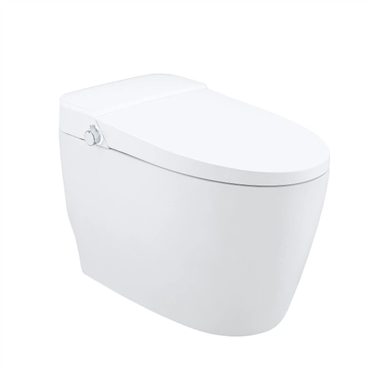 WC intelligente automatico