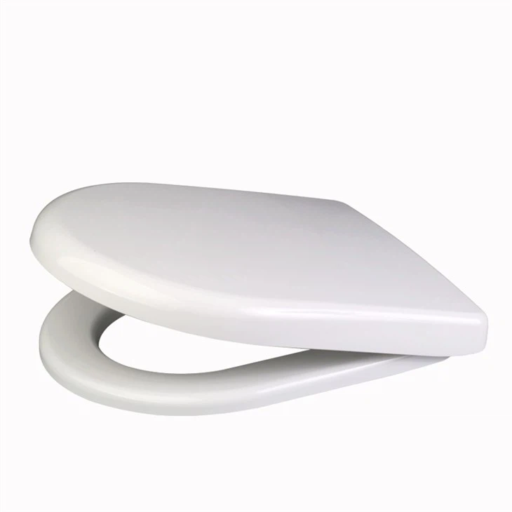 Sedile WC inglese fissato al muro