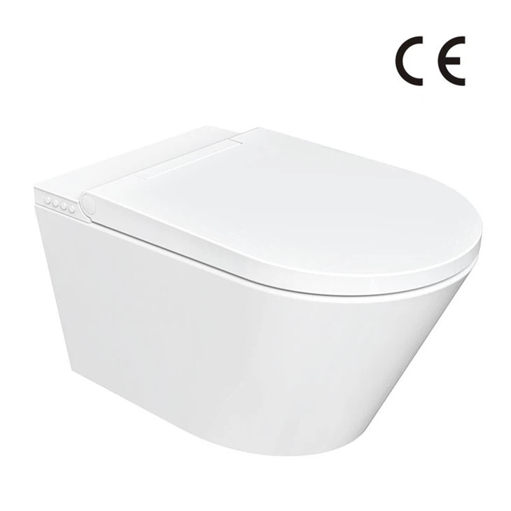 Vasi Eleganti Con Bidet
