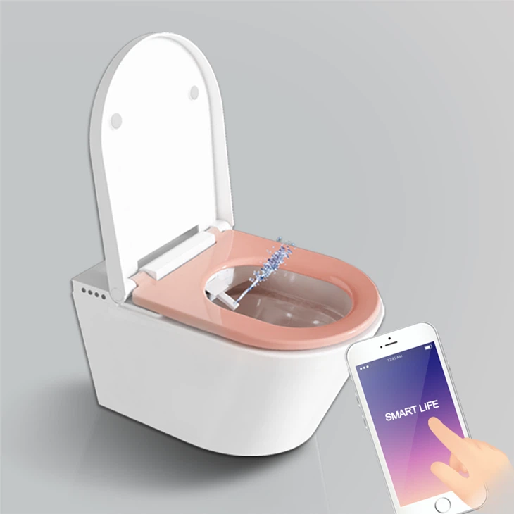 remote control toilet flush