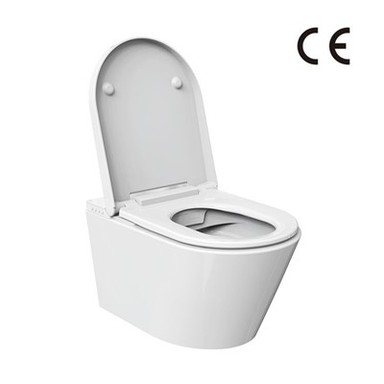 Toilette Di Lusso Con Bidet