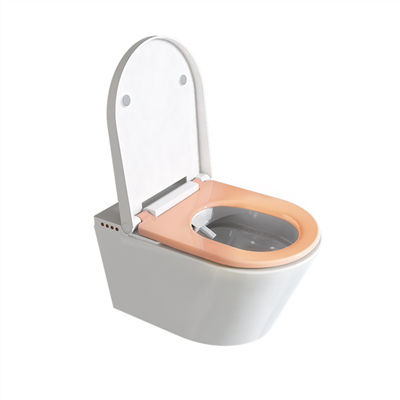 WC bidet con acqua calda e asciugatrice